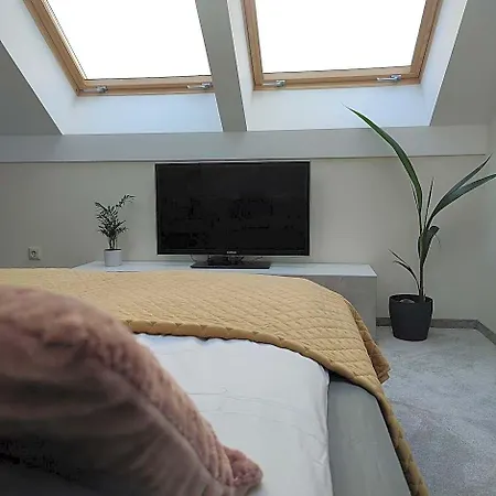 Wanted Apartment. Old Town.