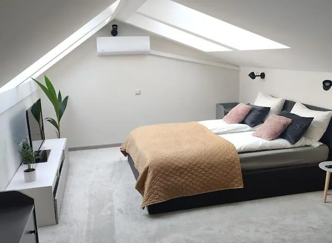 Wanted Apartment. Old Town. 빌뉴스