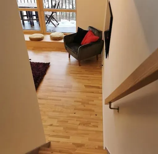 公寓 Wanted Apartment. Old Town. 维尔纽斯