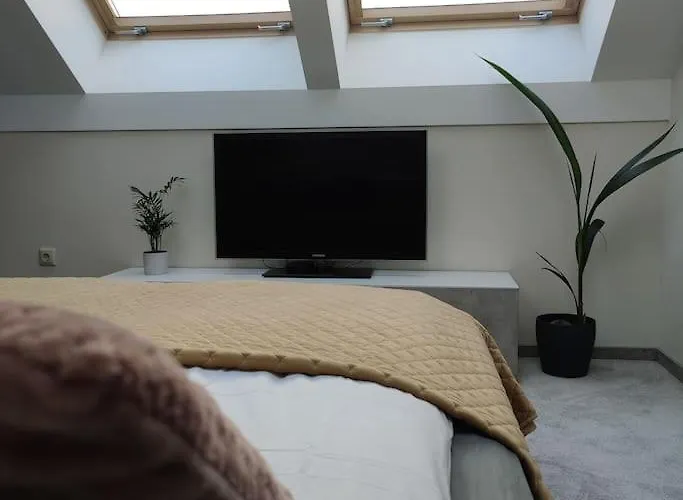 Wanted Apartment. Old Town. 아파트 빌뉴스